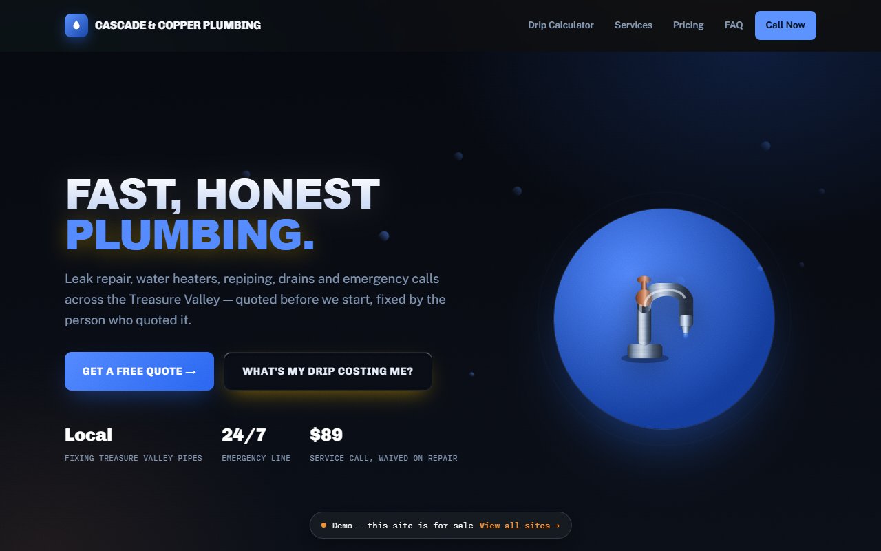 A screenshot of the Plumbing demo site.